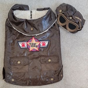 Aviator Dog Costume